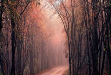 问鼎游戏-关于内马尔连续十五场比赛得分超过败北，公牛挑战极限！的信息