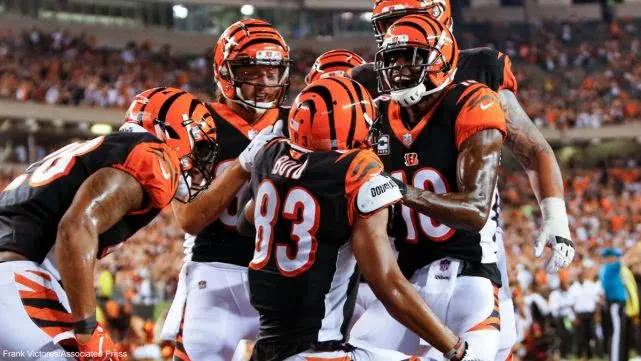 问鼎游戏-包含辽东猛虎队火力全开天山猛虎队，冲浪附加赛上演耐力碾压对手！重拾自信的夜晚的词条